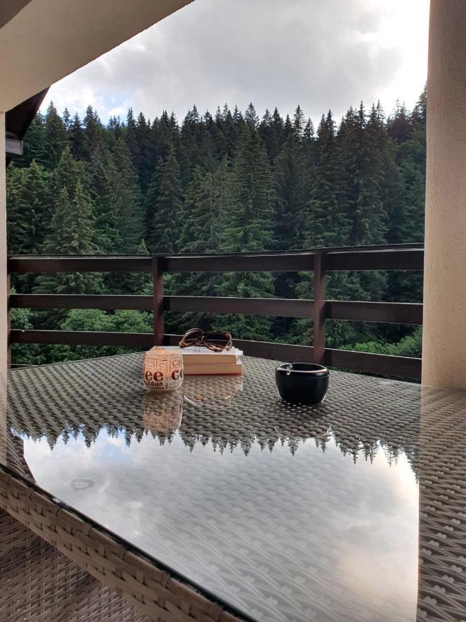 Apartament Ozon Poiana Brasov Extérieur photo