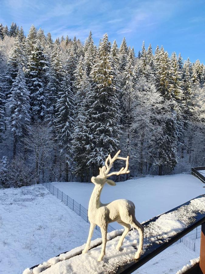 Apartament Ozon Poiana Brasov Extérieur photo